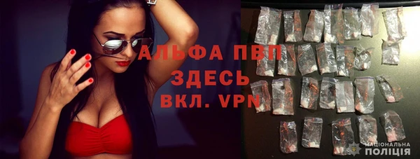 хмурый Рославль
