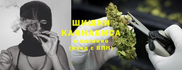 гашик Ростов