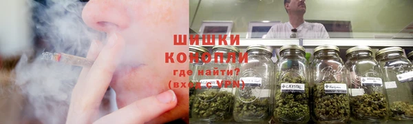 ГАЛЛЮЦИНОГЕННЫЕ ГРИБЫ Алексеевка