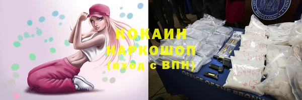 шишки Абинск
