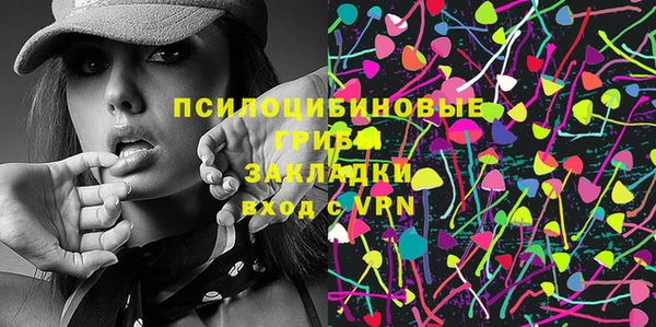 шишки Абинск