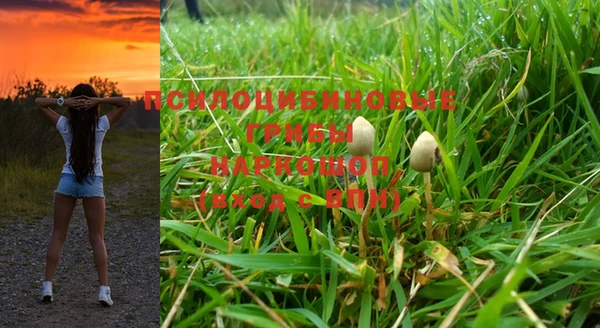 тгк Абдулино