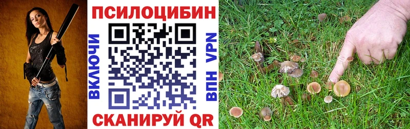 Псилоцибиновые грибы Cubensis  купить наркоту  Клинцы 